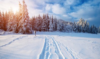 梦见雪地是什么征兆（梦见雪地是什么征兆 女性）