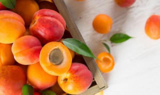 关于水果营养的小知识 关于水果营养的小知识有哪些