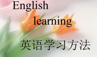 英语学习方法 小学生如何学好英语的方法和技巧