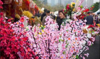 大良花市几时开 大良花市几时开市