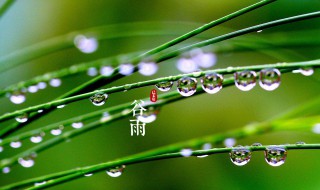 谷雨节气的诗词 谷雨节气的诗词四言绝句