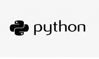 Python3.0正式发布的年份是 python3哪一年发布