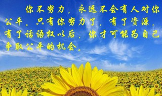 关于努力的人的句子（关于努力的人的句子简短）