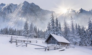 下雪时最温暖的说说 下雪时最温暖的说说图片