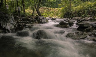 描写水多的夸张句子有哪些 描写水多的夸张句子有哪些成语