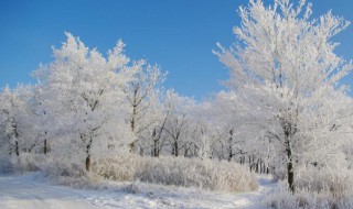 适合初雪发的文案（适合初雪发的文案英语）