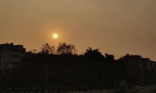 久违的太阳的心情说说 久违的太阳的心情说说句子