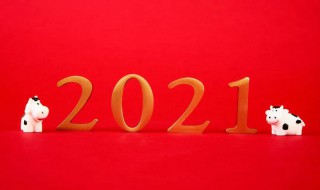 告别2020迎接2021感悟（告别2020迎接2021感悟图片）