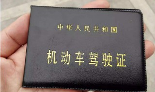 申请电子驾照有什么用（申请电子驾照有什么用途）