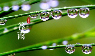 谷雨节气的含义（谷雨节气的含义是什么生肖）