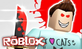 roblox正在验证登录不了 roblox登录验证怎么过