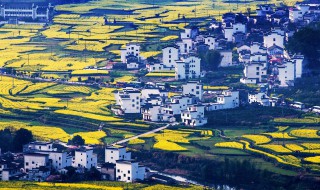 清明节去哪里踏青 清明节去哪里踏青好