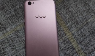 vivox9和vivox9plus手机壳通用吗