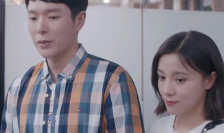 安家电视剧剧情（安家电视剧剧情介绍大结局宁馨）