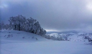 北国风光千里雪飘全诗 北国风光千里雪飘全诗拼音