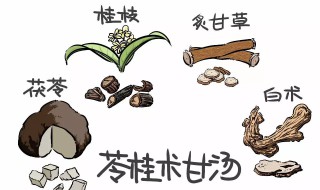 苓桂术甘汤（苓桂术甘汤原方用量）