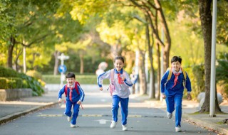 有关路的句子 有关路的句子经典语录