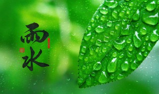 表示雨水节气古诗词（雨水节气古诗词有哪些）