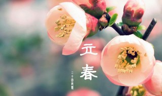 立春创意祝福文案（立春创意祝福文案怎么写）