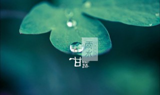 雨水节气谚语推荐 关于雨水节气的谚语跟意思