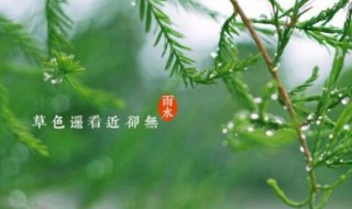 2021年雨水节气下雨有什么说法 2021年几月份有雨