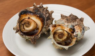 海螺肝为什么不能吃 海螺肝为什么不能吃大蒜