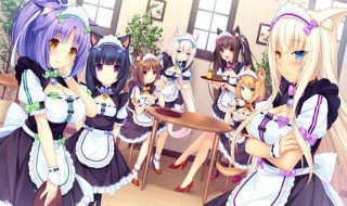 nekopara3怎么用手机玩 nekopara3模拟器