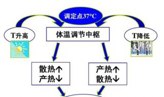 举例说明控制中的反馈措施 举例说明什么是反馈控制