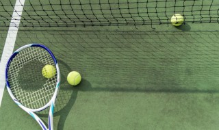 根据打法不同网球选手有哪些类型（网球的打法类型可分为哪三类）