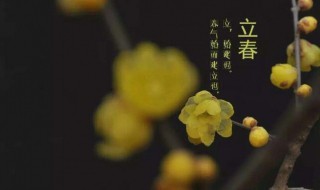 立春代表什么数字（立春用什么数字代表）