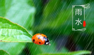 关于雨水节气的文案（关于雨水节气的文案带有酒水的）