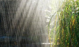 最新雨的俗语精选 雨的俗语语有哪些