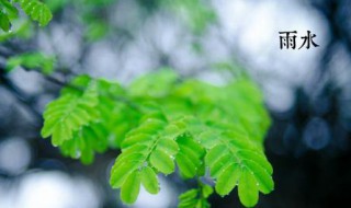 2021年雨水时节养生有哪些是最合适的食物 雨水有哪些是最合适的食物