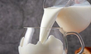 每天喝纯牛奶好吗 学生每天喝纯牛奶好吗