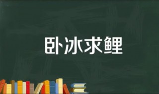 卧冰求鲤的故事 卧冰求鲤的故事简介