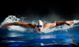 蝶泳的技术动作有哪些 蝶泳的技术动作有哪些?
