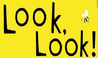 look和look（look和looks的区别）