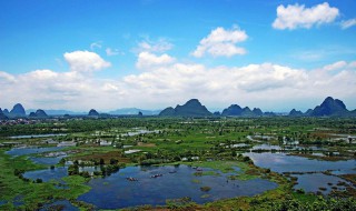 沼泽地被称为地球什么 沼泽地是地球