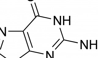 碱基被替换氨基酸序列没改变的原因（碱基被替换氨基酸序列没改变的原因是什么）