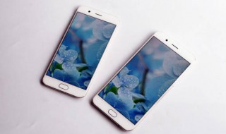 iphone7plus升级后没有声音（苹果7plus没有声音了）