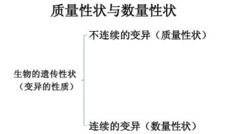 质量性状与数量性状有什么区别?（质量性状与数量性状有什么区别呢）