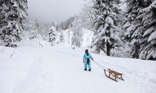 平行板滑雪教程（平行板滑雪教程图解）