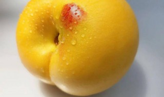 黄金油桃营养价值及功效 黄金油桃的营养价值及功效