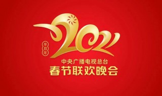 2021央视牛年春晚节目单是怎样的（2021年央视牛年春晚节目单）