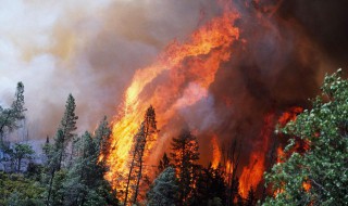 发生火灾时的正确做法是什么 幼儿园发生火灾时的正确做法是什么