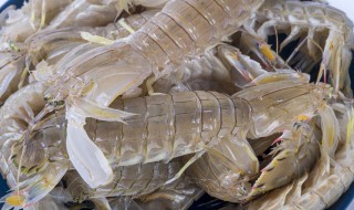 皮皮虾不能吃的部位 皮皮虾可以吃的部位