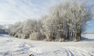 雪乳是什么意思（称呼雪奶是什么意思）