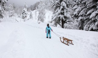 下雪感悟人生的句子 下雪感悟人生的句子简短