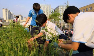 拔草寻蛇的典故（拔草寻蛇的典故有哪些）