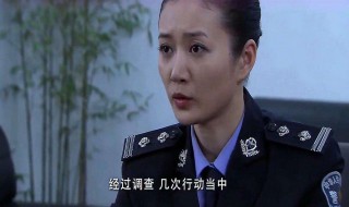 督察队长住宾馆报警是哪一集（警中警督察酒店被所长带走是哪一集）